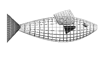 Grid fisk gridFish