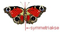 butterf1