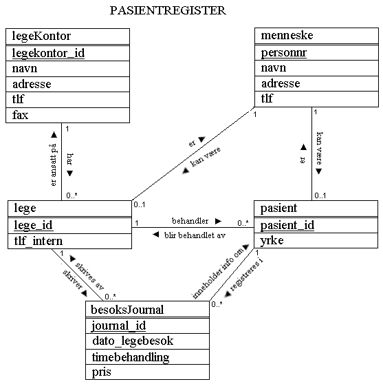 pasientjournal
