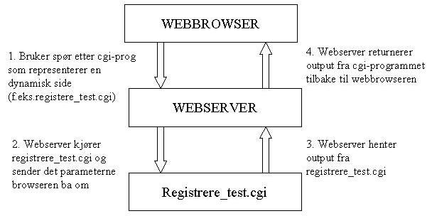 kommunikasjon browser-server m/cgi